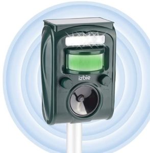 How To Stop Birds From Pooping On My Car