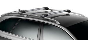 roof rack christmas tree