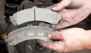 brakes squeal in reverse